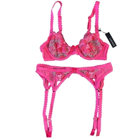 NWT LOUNGE Leelah Bra and matching garter Set Hot Pink Lace Embroidered - Picture 1 of 9